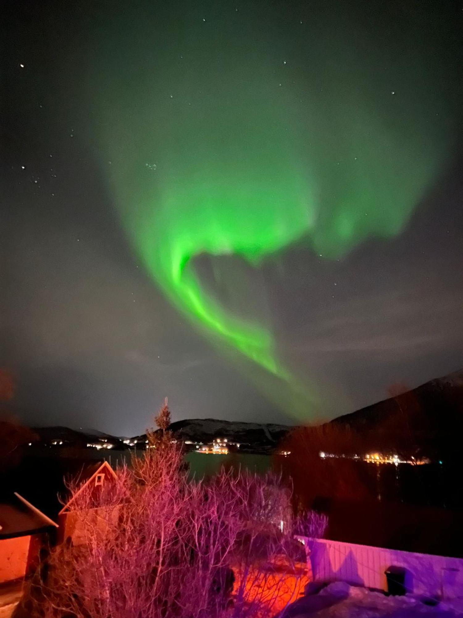 Evenes Artic Glamping Hotell Evenesmarkja Eksteriør bilde