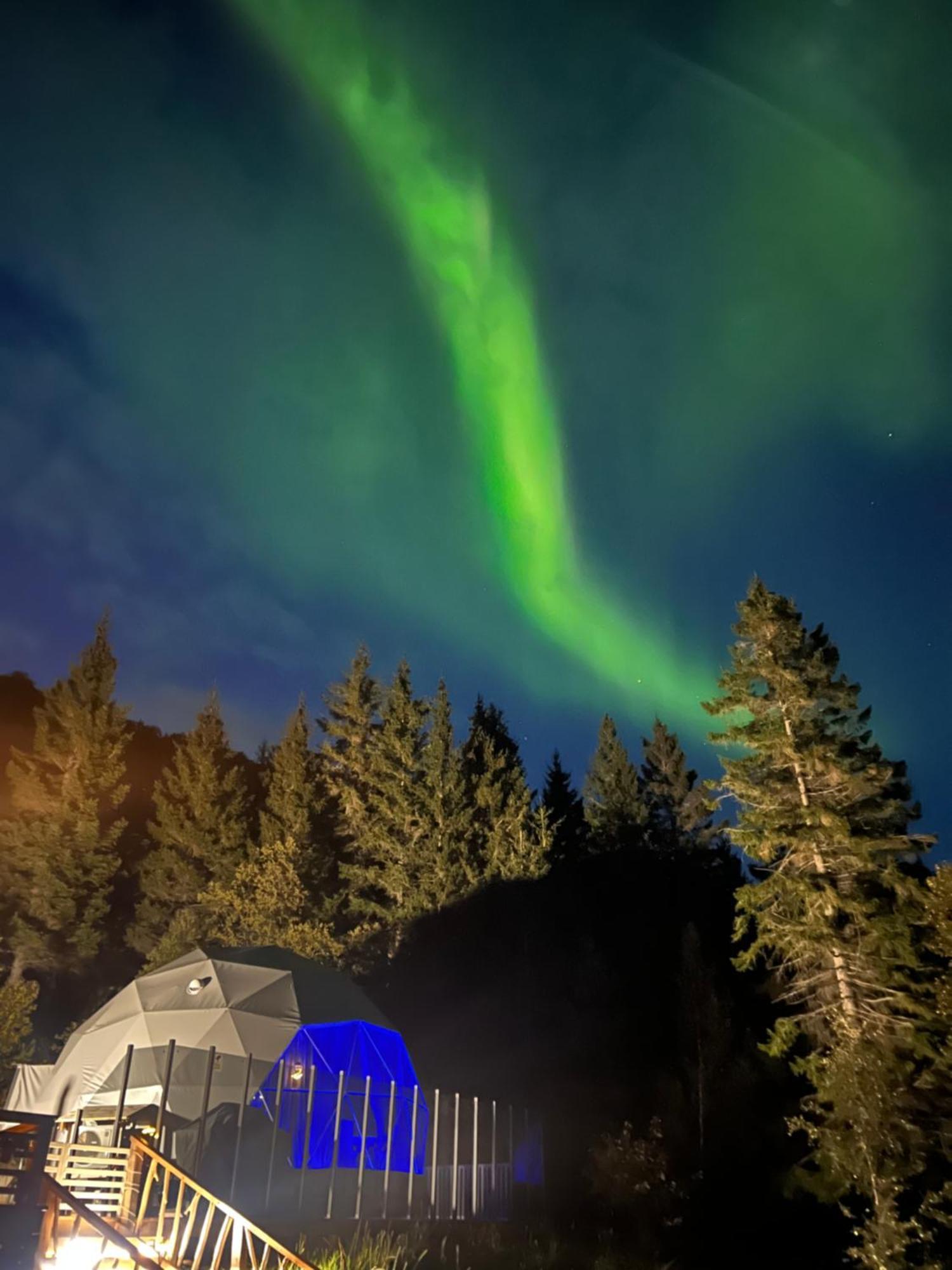 Evenes Artic Glamping Hotell Evenesmarkja Eksteriør bilde